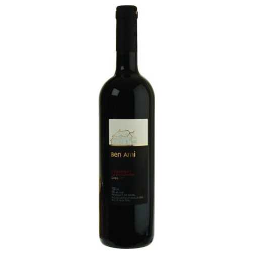 Ben Ami Cabernet Sauvignon - A Kosher Wine From Israel