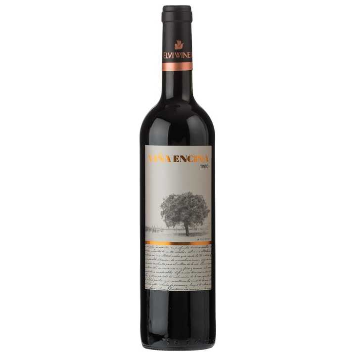 Elvi Vina Encina Red - A Kosher Wine From Spain