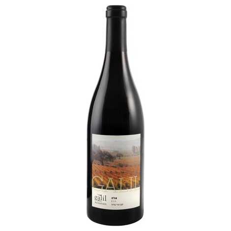 Galil Mountain Ela - A Kosher Wine From Israel