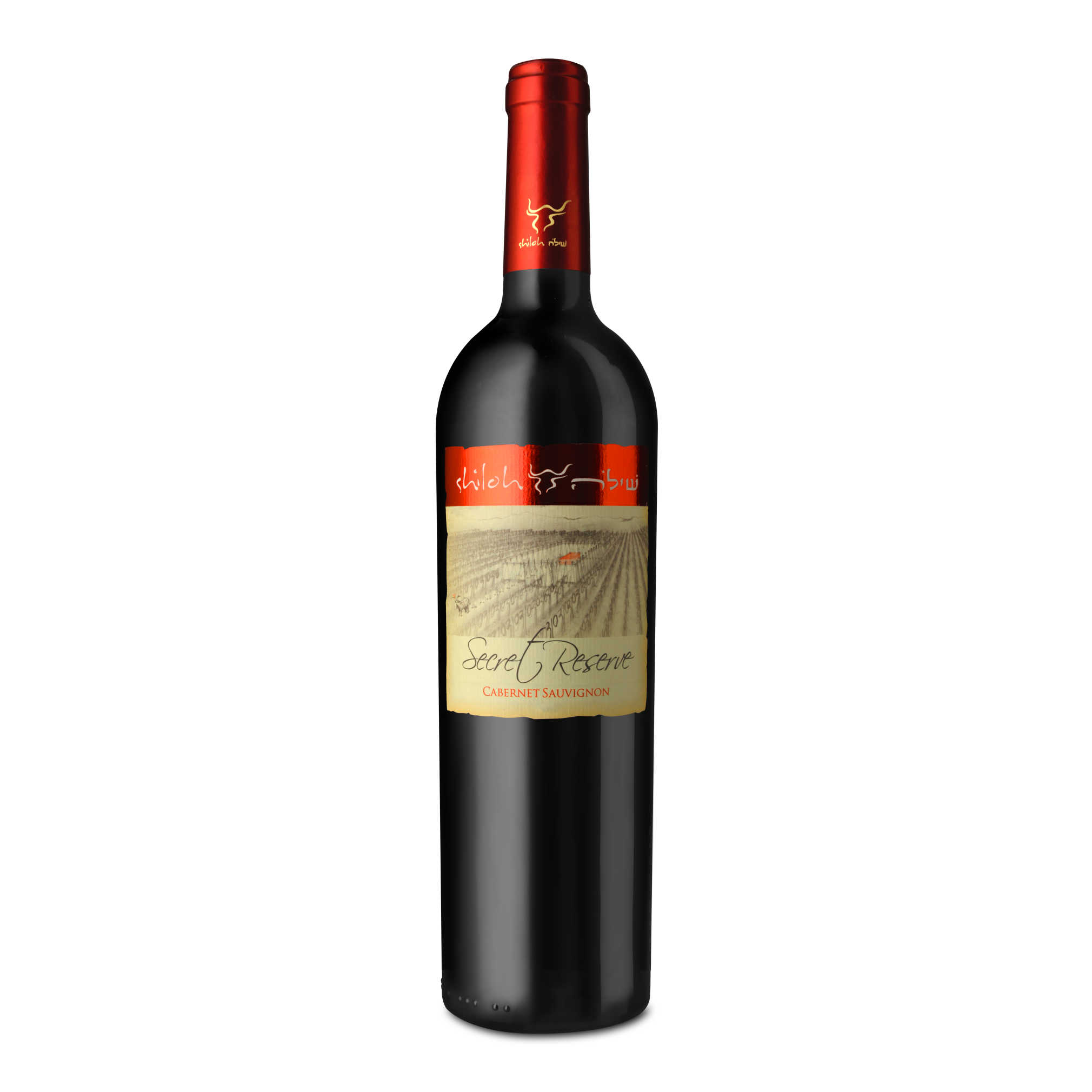 Shiloh Secret Reserve Cabernet Sauvignon - A Kosher Wine From Israel