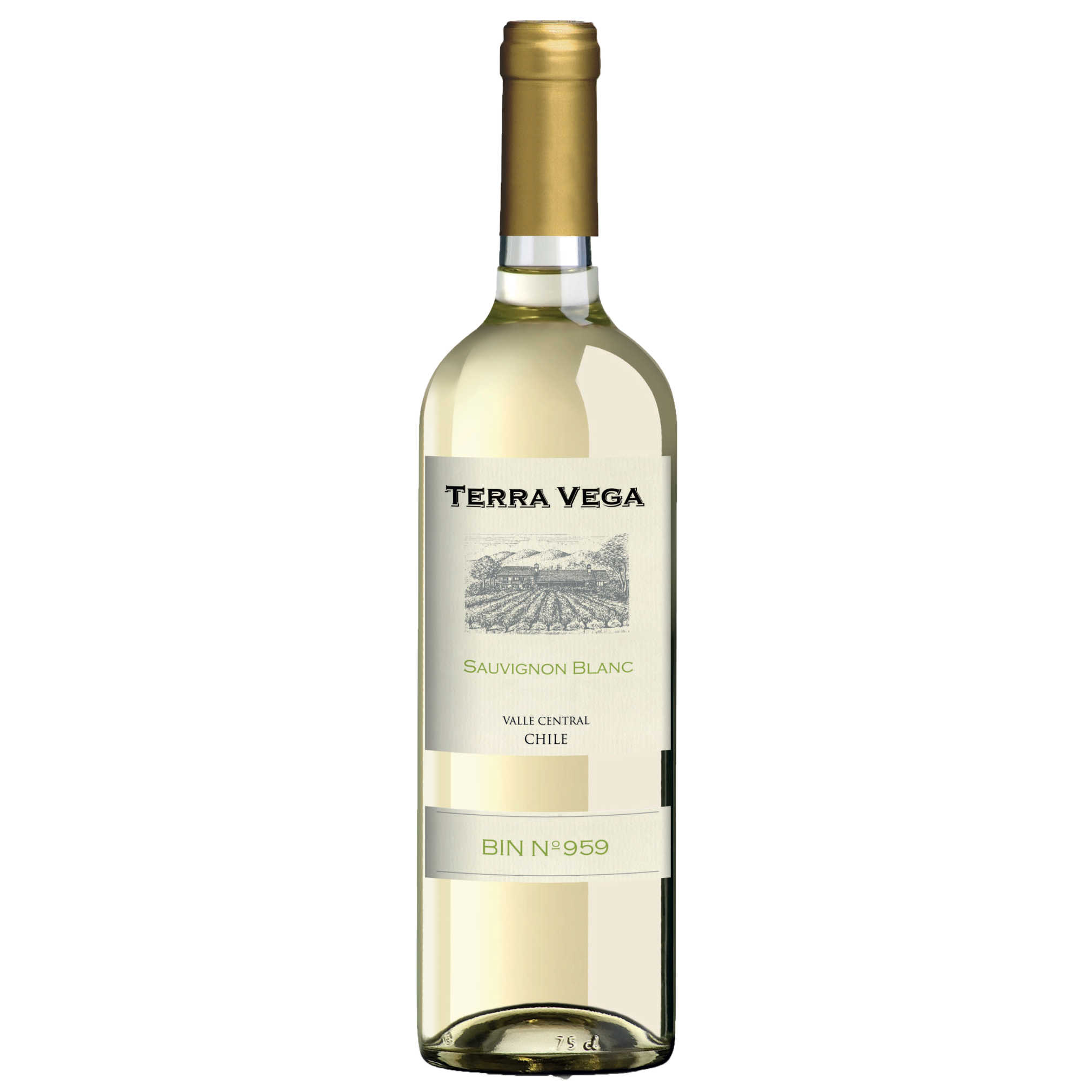 Terra Vega Sauvignon Blanc - A Kosher Wine From Chile